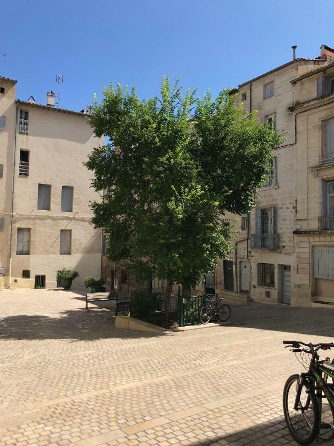 מונפלייה Super Appart T2 - Historic Center - Idealement Situe מראה חיצוני תמונה